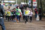 Venray110130010399_small.jpg (3857 Byte)