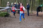 Venray110130020094_small.jpg (3946 Byte)