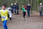 Venray110130020141_small.jpg (3698 Byte)