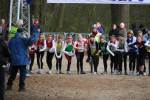 Venray110130020198_small.jpg (3946 Byte)