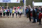 Venray110130020100_small.jpg (3932 Byte)