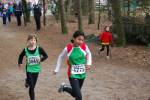 Venray110130020213_small.jpg (3698 Byte)