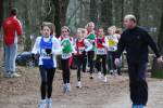 Venray110130020239_small.jpg (3857 Byte)