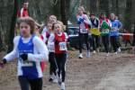 Venray110130020243_small.jpg (3857 Byte)