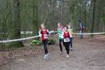 Venray110130020273_small.jpg (3698 Byte)