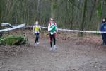 Venray110130020318_small.jpg (3946 Byte)