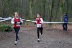 Venray110130020325_small.jpg (3698 Byte)