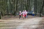 Venray110130030010_small.jpg (3946 Byte)