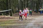 Venray110130030011_small.jpg (3857 Byte)