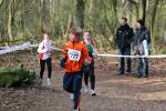 Venray110130030042_small.jpg (3946 Byte)