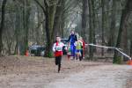 Venray110130030146_small.jpg (3946 Byte)