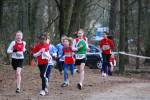 Venray110130030152_small.jpg (3932 Byte)