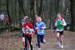 Venray110130030153_small.jpg (3698 Byte)