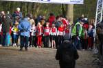 Venray110130030205_small.jpg (3698 Byte)