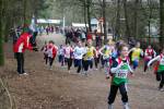 Venray110130030250_small.jpg (3946 Byte)