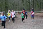 Venray110130030270_small.jpg (3946 Byte)