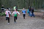 Venray110130030293_small.jpg (3698 Byte)