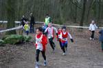 Venray110130030304_small.jpg (3932 Byte)