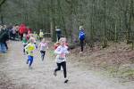 Venray110130030363_small.jpg (3857 Byte)