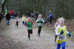 Venray110130030365_small.jpg (3698 Byte)