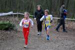 Venray110130030382_small.jpg (3946 Byte)