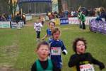 Hellendoorn110219020159_small.jpg (3857 Byte)