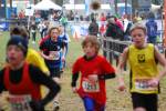 Hellendoorn110219040223_small.jpg (3857 Byte)