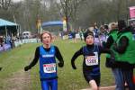 Hellendoorn110219040318_small.jpg (3946 Byte)