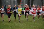 Hellendoorn110219040380_small.jpg (3932 Byte)