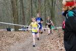 Hellendoorn110219050412_small.jpg (3932 Byte)