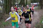 Veghel110313030187_small.jpg (3857 Byte)