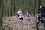 Veghel110313040236_small.jpg (3932 Byte)