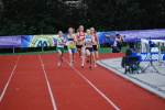 Alphen110708010075_small.jpg (3857 Byte)