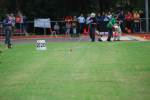 Alphen110708030181_small.jpg (3698 Byte)