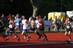 Alphen110708040355_small.jpg (3857 Byte)