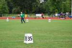 Alphen110709020068_small.jpg (3932 Byte)