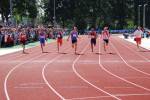 Alphen110709050169_small.jpg (3698 Byte)