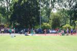 Alphen110709050273_small.jpg (3698 Byte)