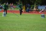 Alphen110709060096_small.jpg (3932 Byte)