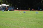 Alphen110709060131_small.jpg (3857 Byte)