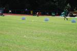 Alphen110709060247_small.jpg (3857 Byte)