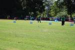 Alphen110709070067_small.jpg (3857 Byte)