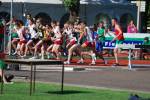 Alphen110709070120_small.jpg (3932 Byte)