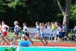 Alphen110709070319_small.jpg (3857 Byte)