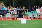 Alphen110710020020_small.jpg (3932 Byte)