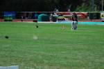 Alphen110710040321_small.jpg (3698 Byte)