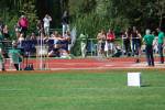 Alphen110710040369_small.jpg (3698 Byte)