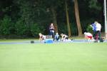 Wageningen110722020163_small.jpg (3857 Byte)