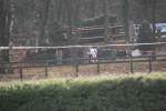 Deurne111211010022_small.jpg (3946 Byte)