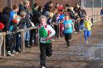 Deurne111211010094_small.jpg (3946 Byte)